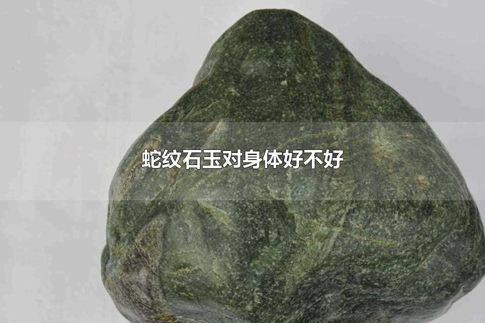 蛇纹石玉对身体好不好(蛇纹石玉值钱吗)