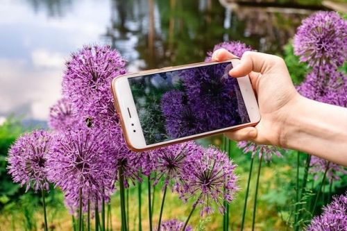 生活中测量质量的工具(实验室测量质量的工具)-第2张图片-