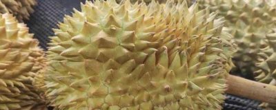 ​榴莲皮是不是可以煮汤怎么煮