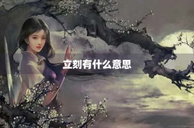 ​立刻有什么意思