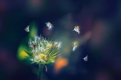 ​乒乓球世界排行榜 一览表乒乓球世界排行榜 最新