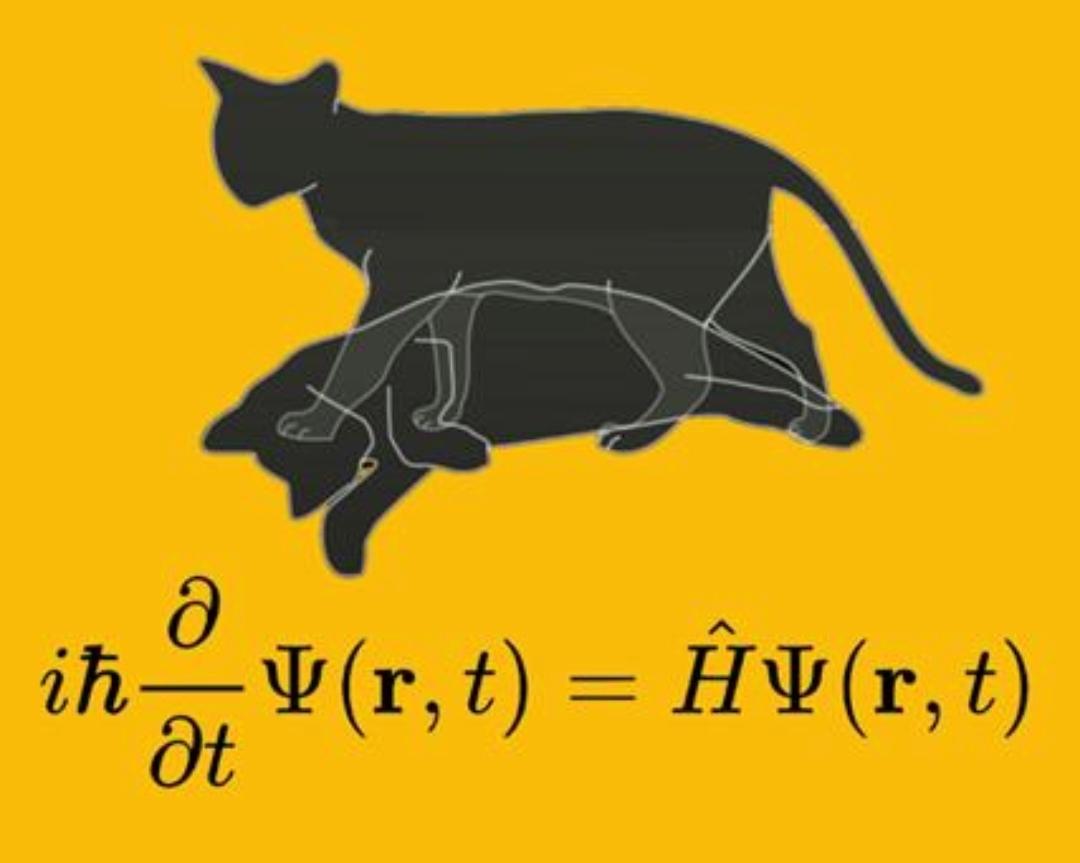 平行时空真的存在吗科学验证(平行时空真的存在吗)(图3) 平行时空真的存在吗科学验证(平行时空真的存在吗)(图3)