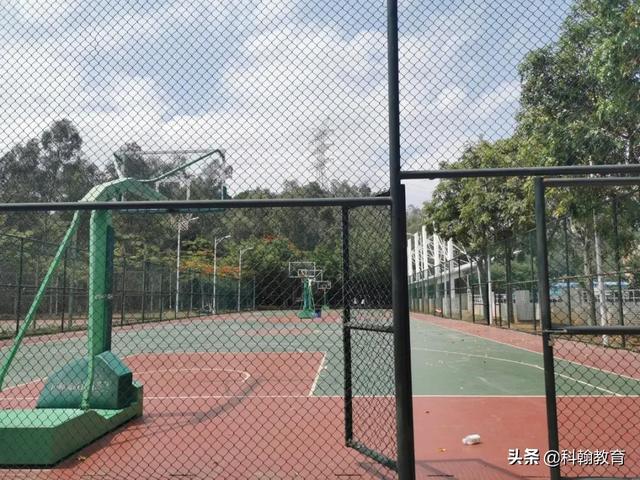 深圳龙城高级中学怎么样(在龙城高级中学读书)(25)