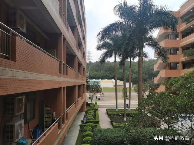 深圳龙城高级中学怎么样(在龙城高级中学读书)(4)