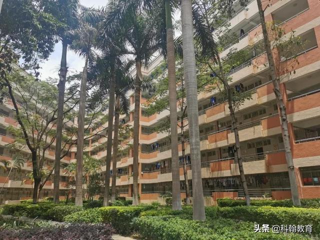 深圳龙城高级中学怎么样(在龙城高级中学读书)(10)