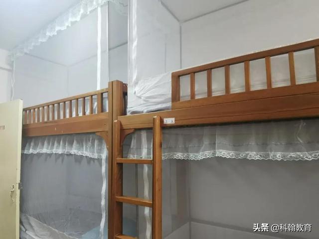 深圳龙城高级中学怎么样(在龙城高级中学读书)(15)