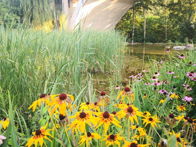 仙谷市旅游攻略(游西部长青柳仙谷)(12)