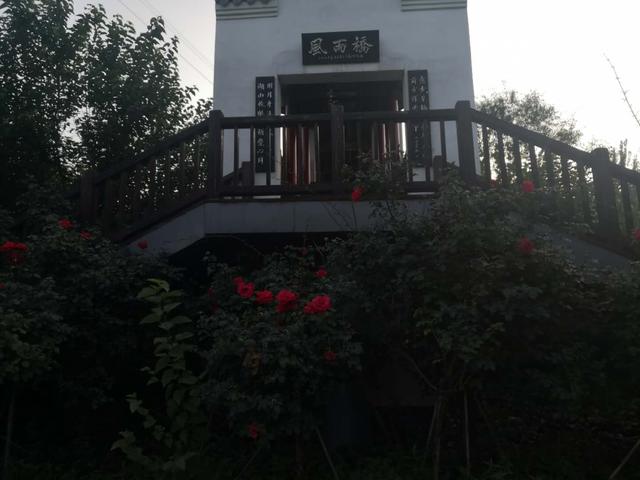 仙谷市旅游攻略(游西部长青柳仙谷)(5)