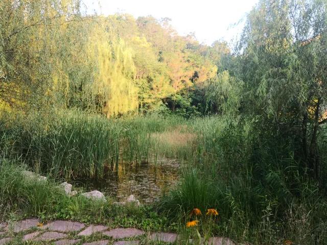 仙谷市旅游攻略(游西部长青柳仙谷)(13)