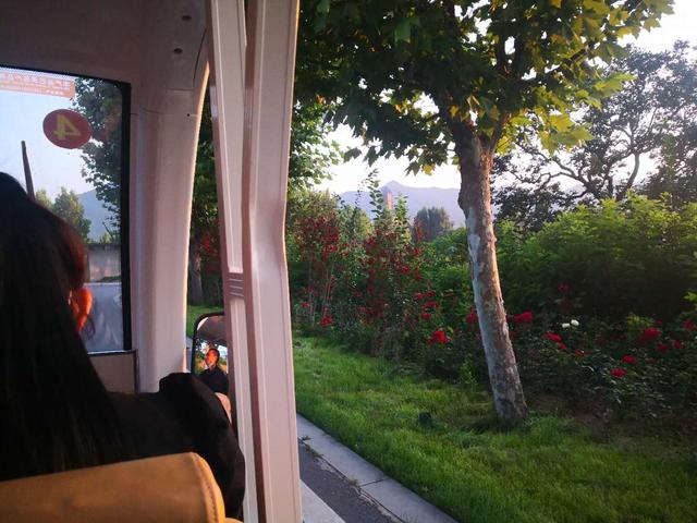 仙谷市旅游攻略(游西部长青柳仙谷)(2)