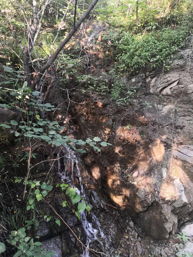 仙谷市旅游攻略(游西部长青柳仙谷)(18)