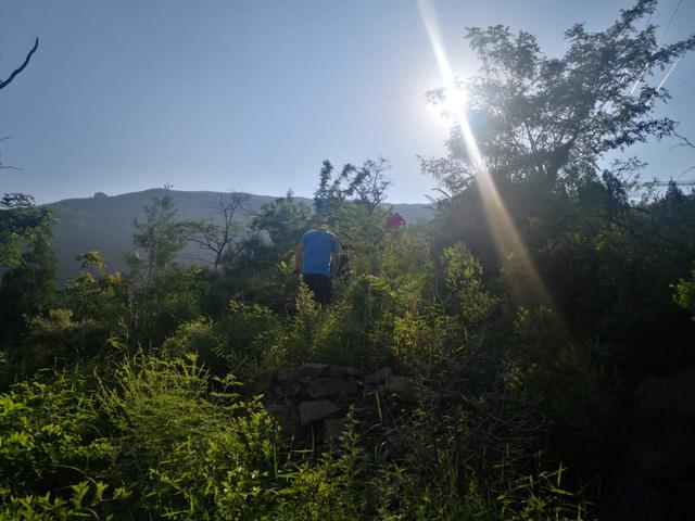 仙谷市旅游攻略(游西部长青柳仙谷)(42)