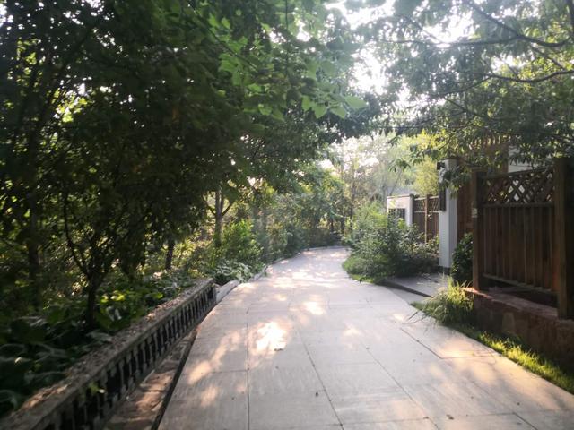 仙谷市旅游攻略(游西部长青柳仙谷)(9)