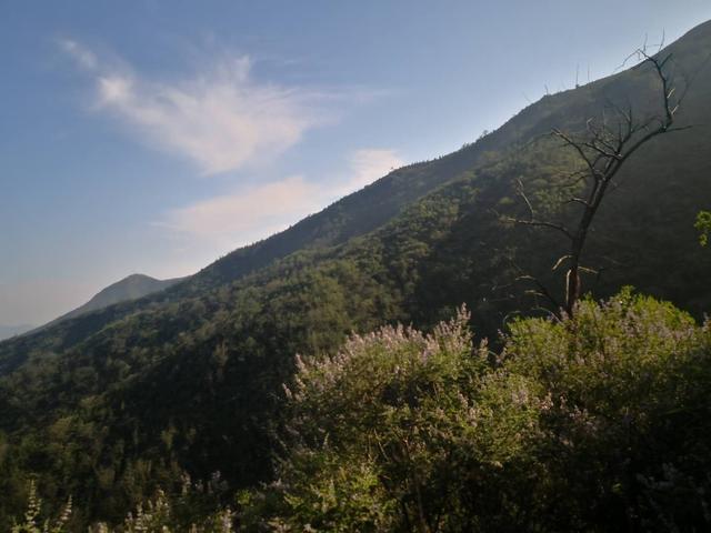 仙谷市旅游攻略(游西部长青柳仙谷)(41)