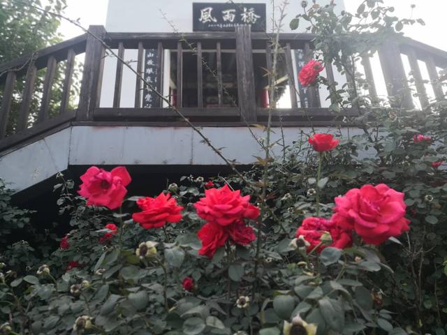 仙谷市旅游攻略(游西部长青柳仙谷)(4)