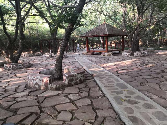 仙谷市旅游攻略(游西部长青柳仙谷)(17)