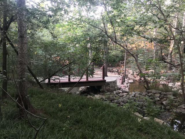 仙谷市旅游攻略(游西部长青柳仙谷)(16)