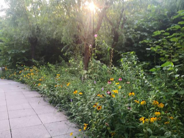 仙谷市旅游攻略(游西部长青柳仙谷)(14)