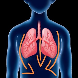 ​杏的营养价值 “灵山之下，其木多杏。” 中国的杏文化和杏仁对人体的三个作用