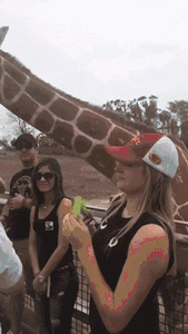 适合一般情侣的接吻方法(接吻小白和吻技高手之间只差这一篇文章的距离)(2)