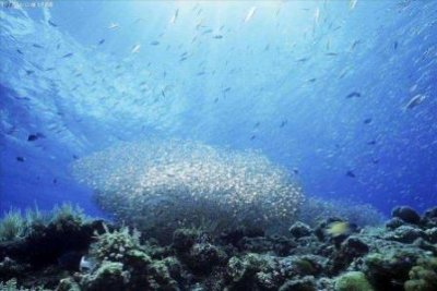 ​北京皇冠假日，皇冠假日北京厅