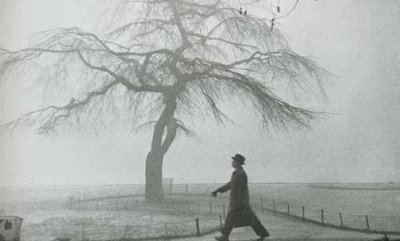 ​盘点各国雾霾史