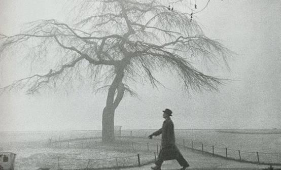 盘点各国雾霾史