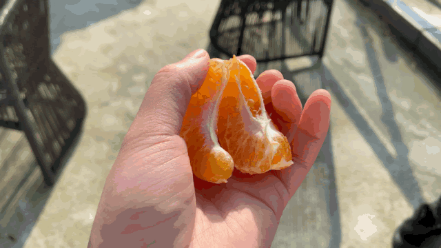 全四川最好吃的耙耙柑(每一口都清甜爆汁)(8)