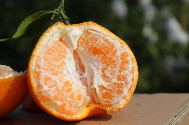 全四川最好吃的耙耙柑(每一口都清甜爆汁)(13)