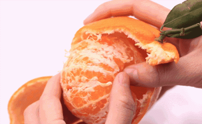 ​全四川最好吃的耙耙柑（每一口都清甜爆汁）