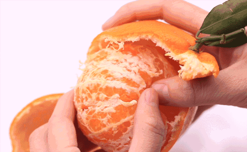 全四川最好吃的耙耙柑(每一口都清甜爆汁)(1)