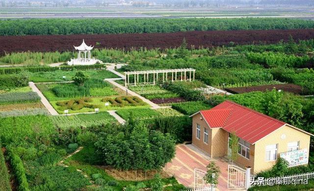 昌邑市属于哪个市(山东昌邑市属于什么市)