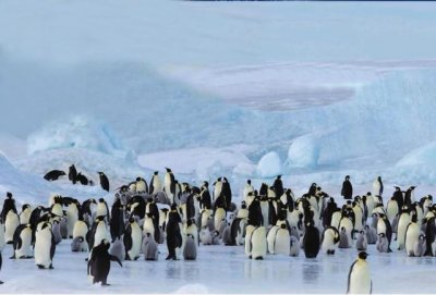 ​南极洲，是地球上最后一个被发现、而且唯一没有土著人居住的大洲