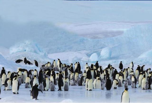 南极洲，是地球上最后一个被发现、而且唯一没有土著人居住的大洲