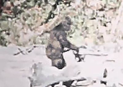 ​重新修复的1967年美国加州大脚怪经典影片显示大脚怪很可能是真实存在的