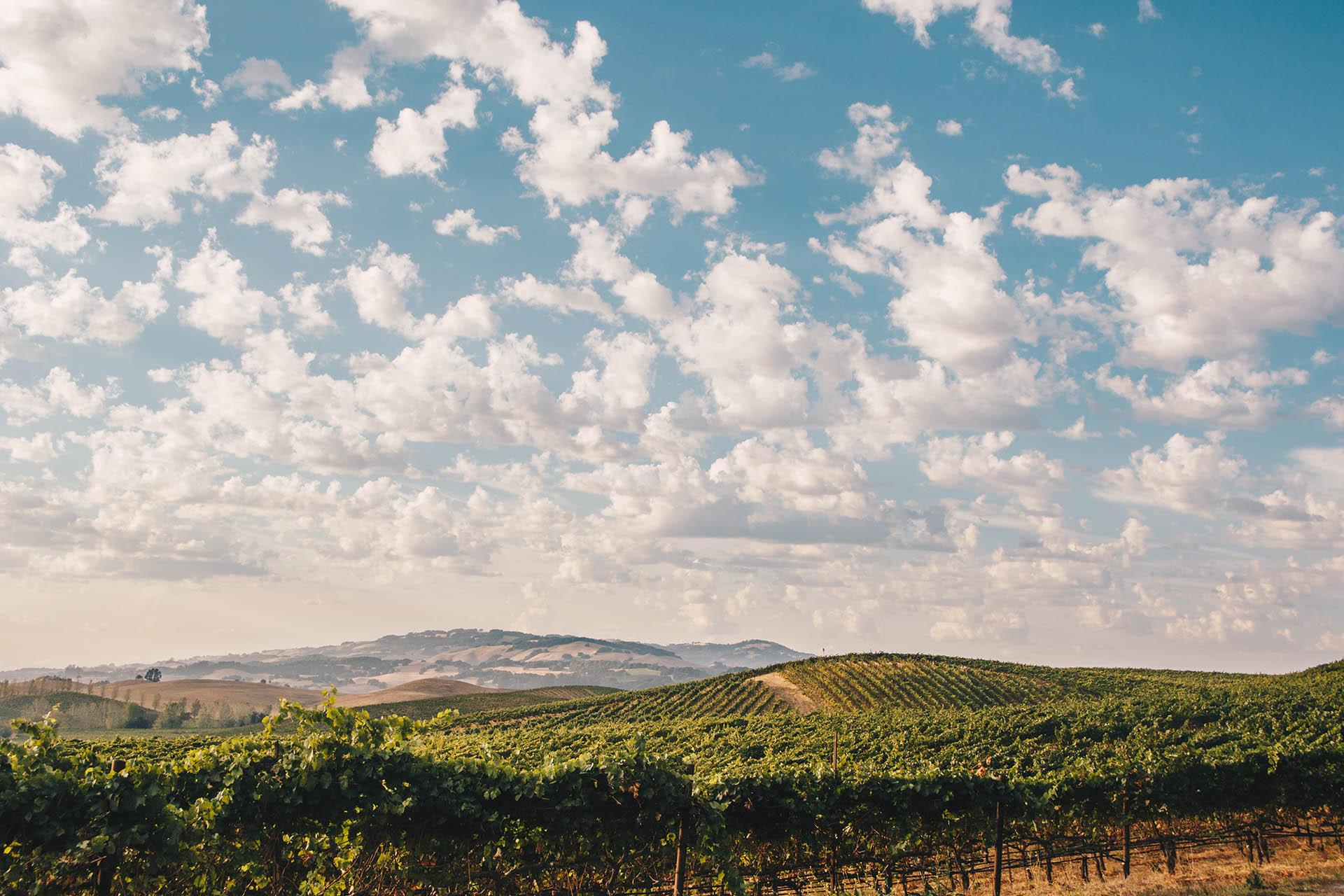 小气候是什么意思(什么是小气候)