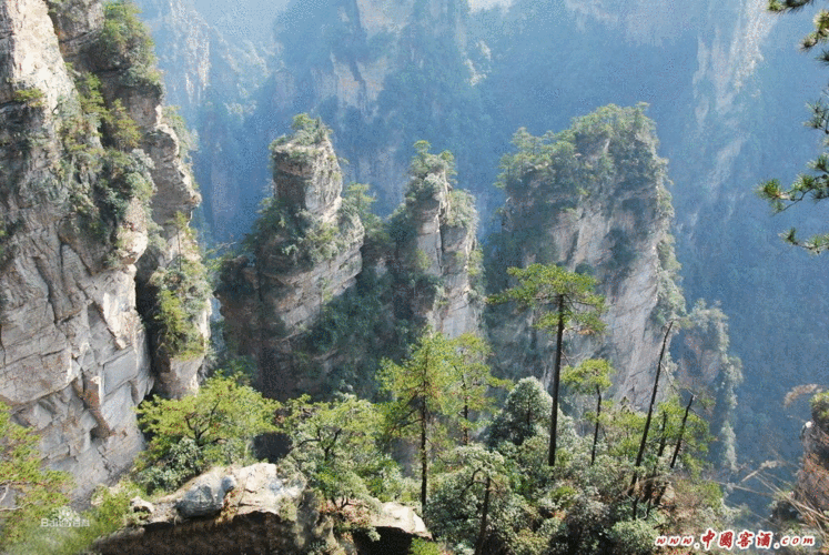 三、张家界—张家界