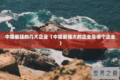 ​中国最猛的几大企业（中国最强大的企业是哪个企业）