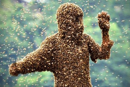 老太踩到“杀人蜂”窝被追杀,4天后离奇死亡