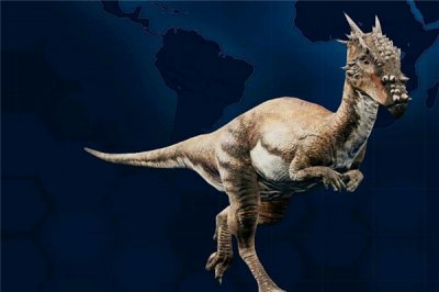 ​龙王龙：别名龙王属于脊索动物（化石不完整）