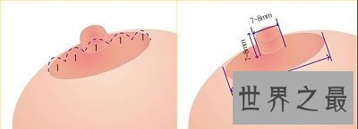 东方女性最标准的乳头(图片),看看自己达标吗