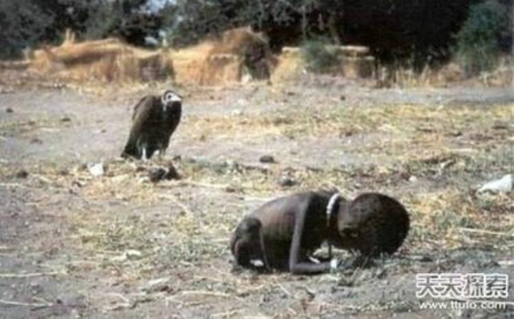 十张诡异的老照片,15张不可思议的老照片