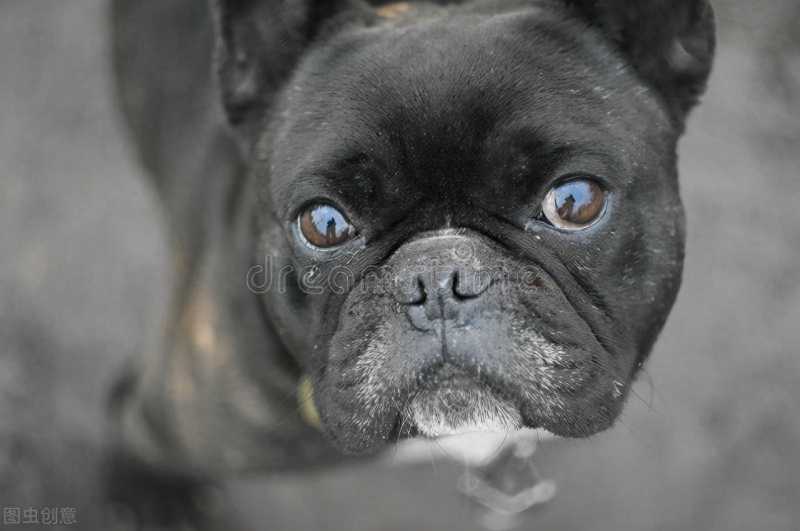 每年桃花开的时候我就会想起一个人