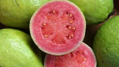 芭乐太生了怎么催熟