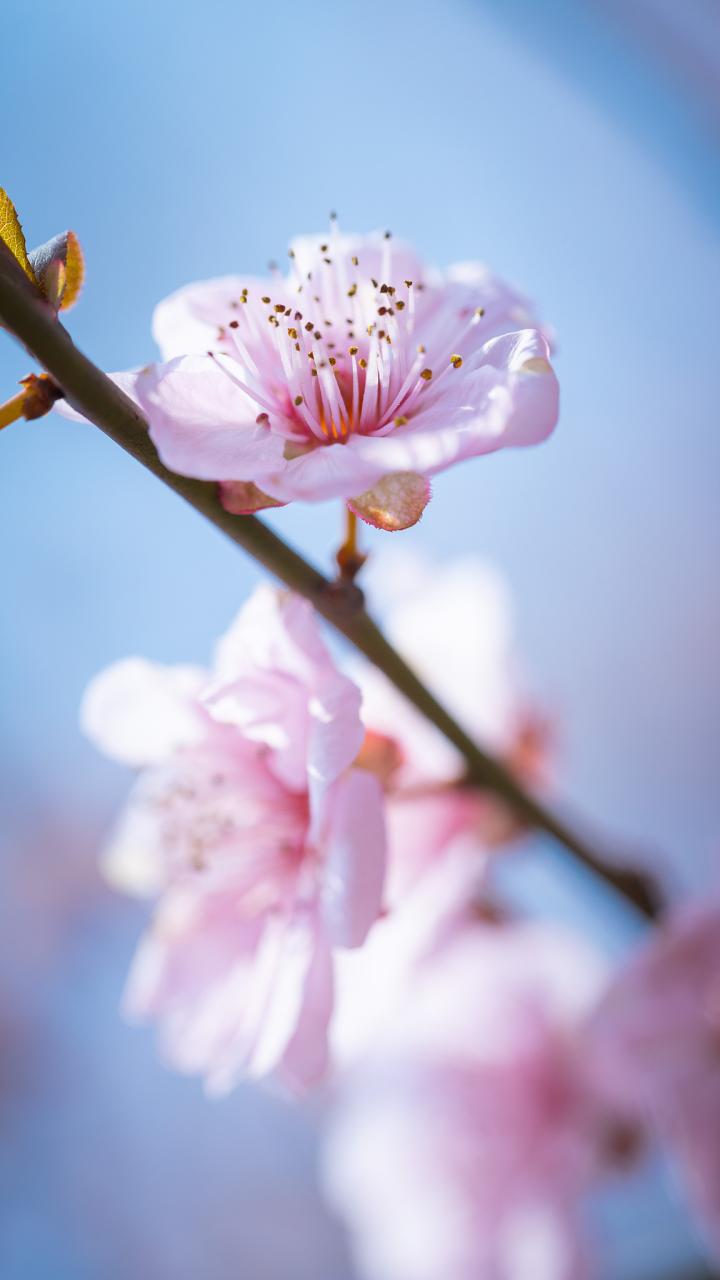 百听不厌的50首经典老歌推荐 经典老歌500首怀旧