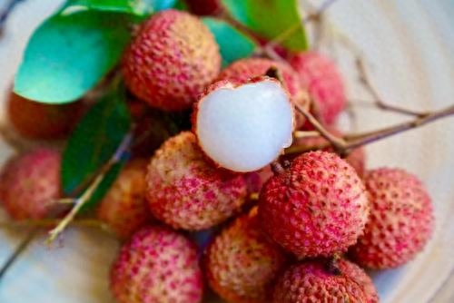 荔枝可以放几天(荔枝25度放一天会不会坏)