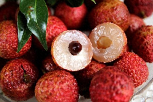 荔枝可以放几天(荔枝25度放一天会不会坏)