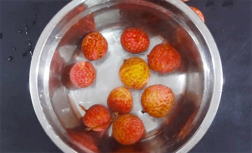 荔枝可以放几天(荔枝25度放一天会不会坏)