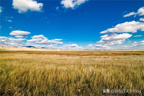 呼和塔拉草原太美了,运动中心是内蒙古成立70周年大庆的主会场