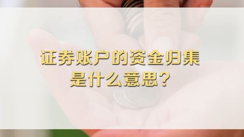 资金归集是什么意思(资金归集的意思)